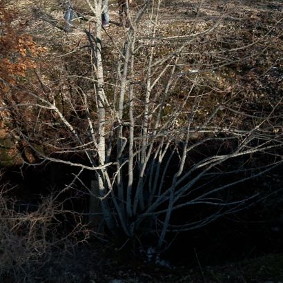 1775828483-lipovaca-nevesinje-01-locations.jpg