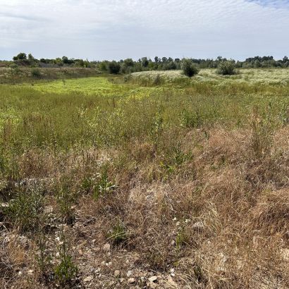 1781931612-crkvina-3-locations.jpeg