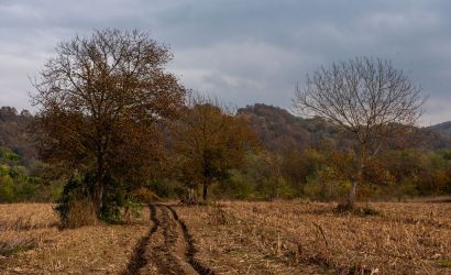 1776173431-imgi-26-kozluk-5-scaled-locations.jpg