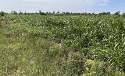 1781931612-crkvina-locations.jpeg